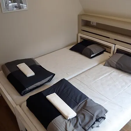 Rabbit's Hostel *
